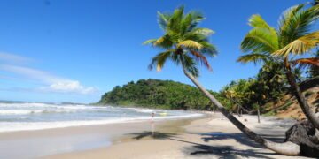 Itacaré, na Bahia, vira referência para surfistas – 10/03/2025 – Turismo