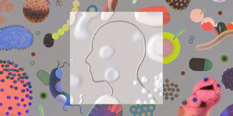 Veja feitos duradouros da Covid-19 no corpo – 14/03/2025 – Equilíbrio e Saúde