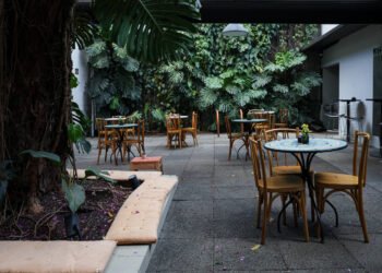 Café Fellini é escolhida como melhor bombonnière de cinema – 13/03/2025 – Cinema