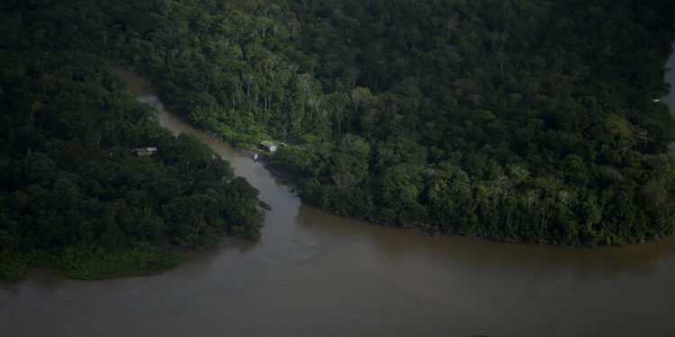Foz do Amazonas: Licença afeta destino de outros 47 blocos – 03/03/2025 – Ambiente