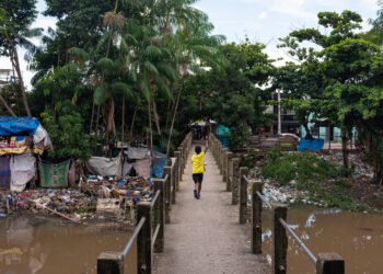 COP30: Obra é abandonada, e região é tomado por tráfico – 13/03/2025 – Cotidiano