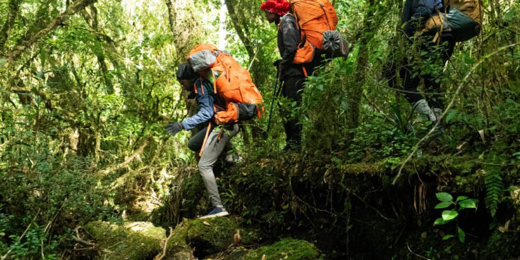 Projetos sociais se unem para iniciar jovens no trekking – 12/03/2025 – É Logo Ali