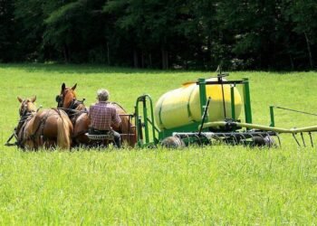 Xixi nas plantações: Por que agricultores dos EUA usam – 13/03/2025 – Mercado