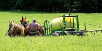 Xixi nas plantações: Por que agricultores dos EUA usam – 13/03/2025 – Mercado