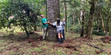 Primeiro brasileiro a subir Everest cria reserva no Paraná – 15/03/2025 – Ambiente