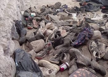 Grupo descobre local de extermínio de cartel no México – 13/03/2025 – Mundo