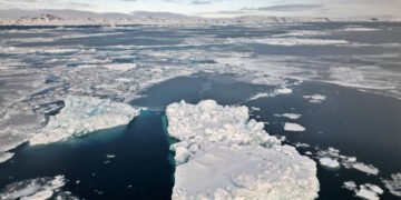 Nível do mar subiu mais do que o previsto em 2024 – 13/03/2025 – Ambiente