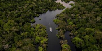 MPF diz que projeto de carbono pressiona ribeirinhos no AM – 14/03/2025 – Ambiente