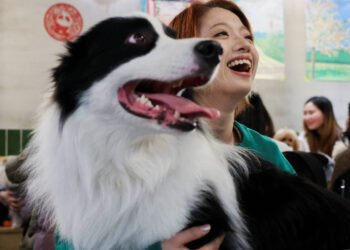 Terapia com pets: estudos destacam benefícios na saúde – 17/03/2025 – Equilíbrio