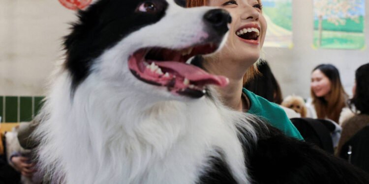 Terapia com pets: estudos destacam benefícios na saúde – 17/03/2025 – Equilíbrio