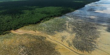 Trump ofusca ofensiva por petróleo na Foz do Amazonas – 14/03/2025 – Ambiente