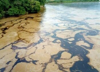 Vazamento de petróleo provoca emergência no Equador – 15/03/2025 – Ambiente