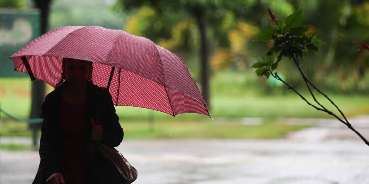 SP terá chuvas ao longo da semana etemperatura sobe – 17/03/2025 – Cotidiano