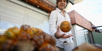 ‘Senhor das frutas’ conserva a riqueza natural da Colômbia – 18/03/2025 – Mercado