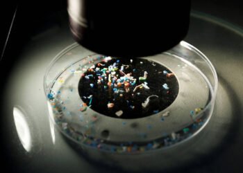 Microplásticos: Como evitar consumo em comidas e bebidas – 17/03/2025 – Ambiente