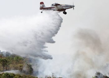 Natureza é a chave para a virada do jogo na COP30 – 18/03/2025 – Ilona Szabó de Carvalho