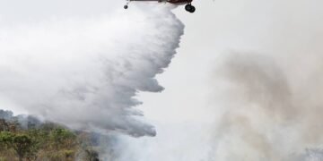 Natureza é a chave para a virada do jogo na COP30 – 18/03/2025 – Ilona Szabó de Carvalho