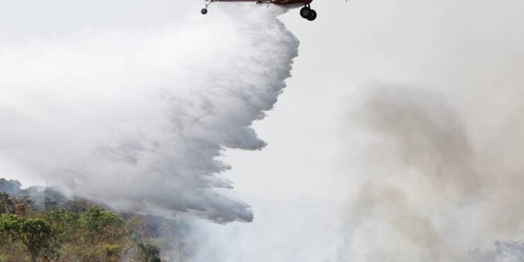 Natureza é a chave para a virada do jogo na COP30 – 18/03/2025 – Ilona Szabó de Carvalho