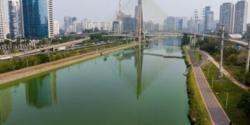 Rios da mata atlântica têm piora na qualidade em 2024 – 21/03/2025 – Ambiente