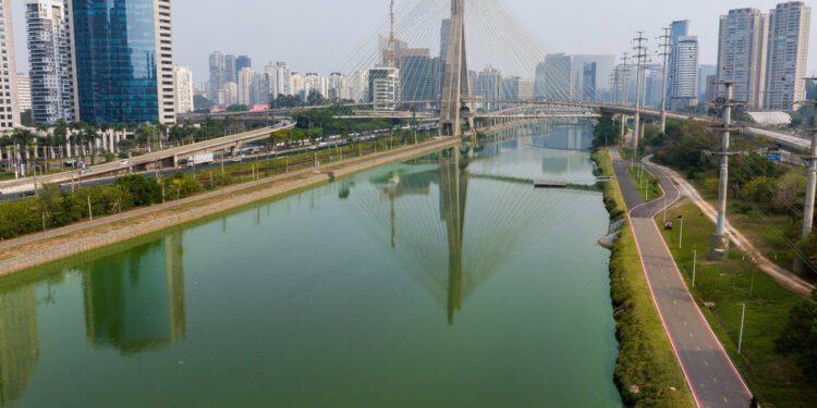 Rios da mata atlântica têm piora na qualidade em 2024 – 21/03/2025 – Ambiente