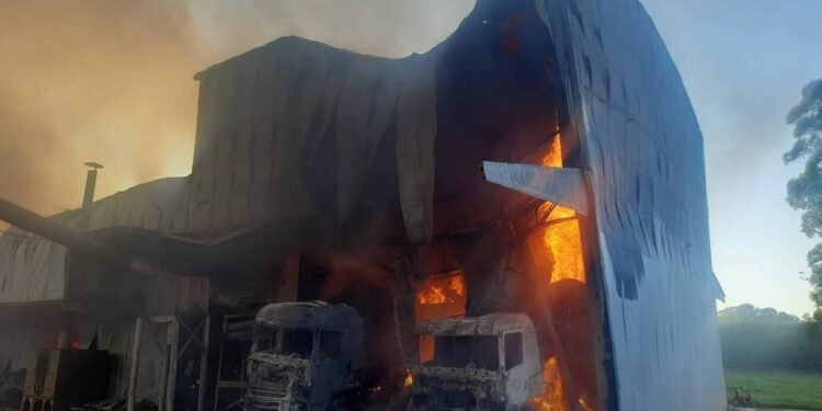 Incêndio em fábrica de amendoim já dura mais de 36 horas – 23/03/2025 – Cotidiano