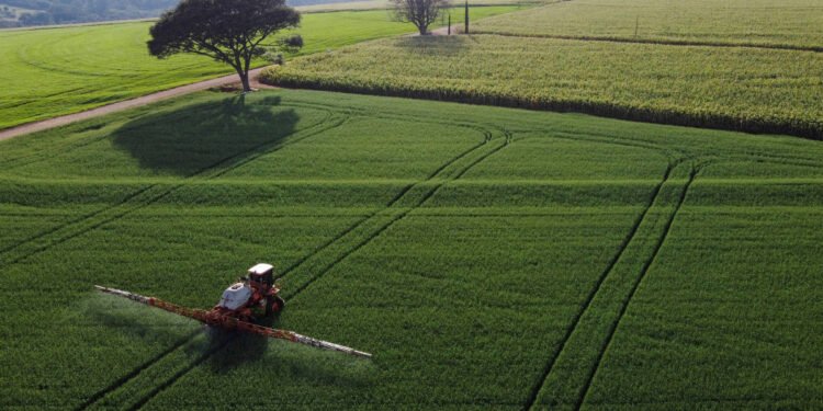 Crime e internet impulsionam venda de agrotóxico ilegal – 24/03/2025 – Ambiente