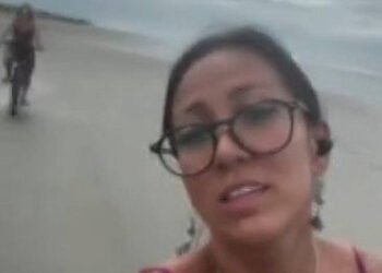 Condutor de charrete diz que testava égua antes de colisão – 31/03/2025 – Cotidiano