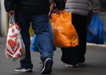 Veja qual tipo de sacola é mais sustentável – 27/03/2025 – Ambiente