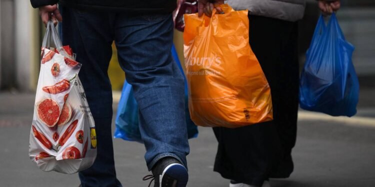 Veja qual tipo de sacola é mais sustentável – 27/03/2025 – Ambiente