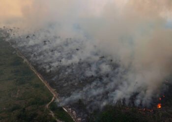 Primeiro veio a estrada, depois a destruição