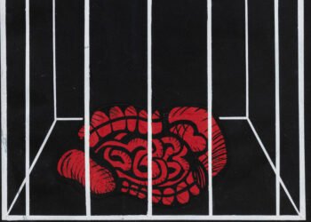 Carlos Zilio questiona sentido político da arte em mostra – 28/03/2025 – Ilustrada