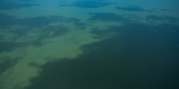 ONU amplia em quase um MS a área marítima brasileira – 27/03/2025 – Cotidiano