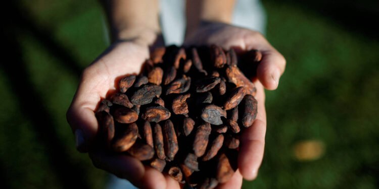 Como o cacau pode revolucionar sua grelha – 28/03/2025 – Nação churrasqueira