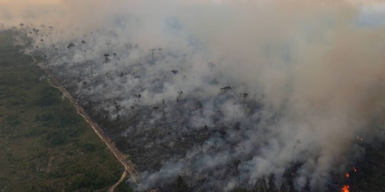 Primeiro veio a estrada, depois a destruição