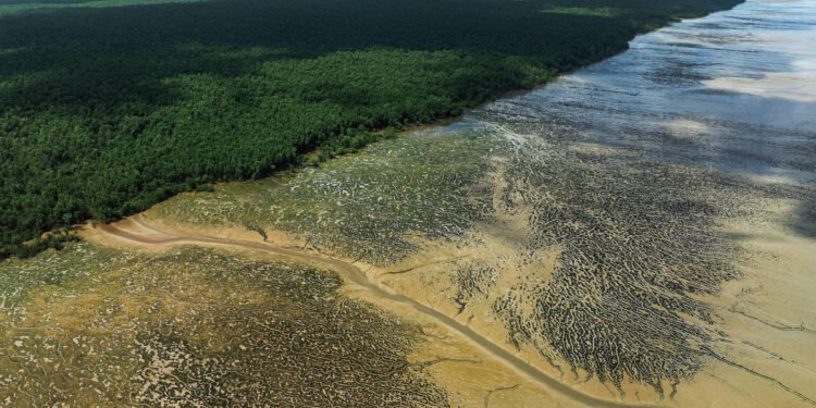 Foz do Amazonas: Ibama deve frustrar prazo de teste – 28/03/2025 – Ambiente