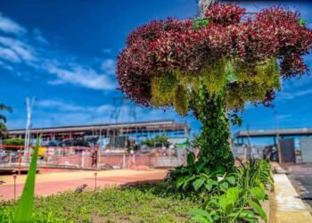 COP30: Árvores artificiais em Belém provocam polêmica – 28/03/2025 – Ambiente