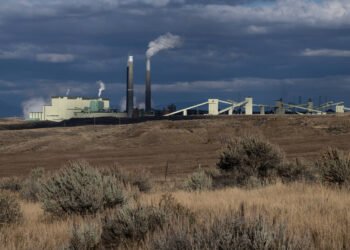 Trump pode liberar de regras ambientais por e-mail – 28/03/2025 – Ambiente