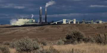 Trump pode liberar de regras ambientais por e-mail – 28/03/2025 – Ambiente