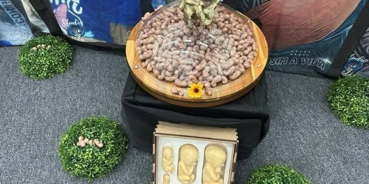 Governo de SP sedia evento contra aborto legal – 31/03/2025 – Equilíbrio e Saúde