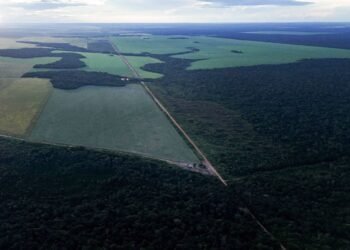 Vídeo: Aldeia de Raoni é oásis de preservação na amazônia – 01/04/2025 – Ambiente