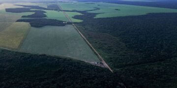 Vídeo: Aldeia de Raoni é oásis de preservação na amazônia – 01/04/2025 – Ambiente
