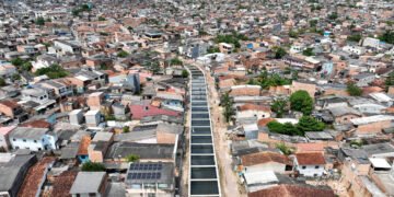 COP30: Empresa denunciada por fraude é contratada em obras – 01/04/2025 – Ambiente